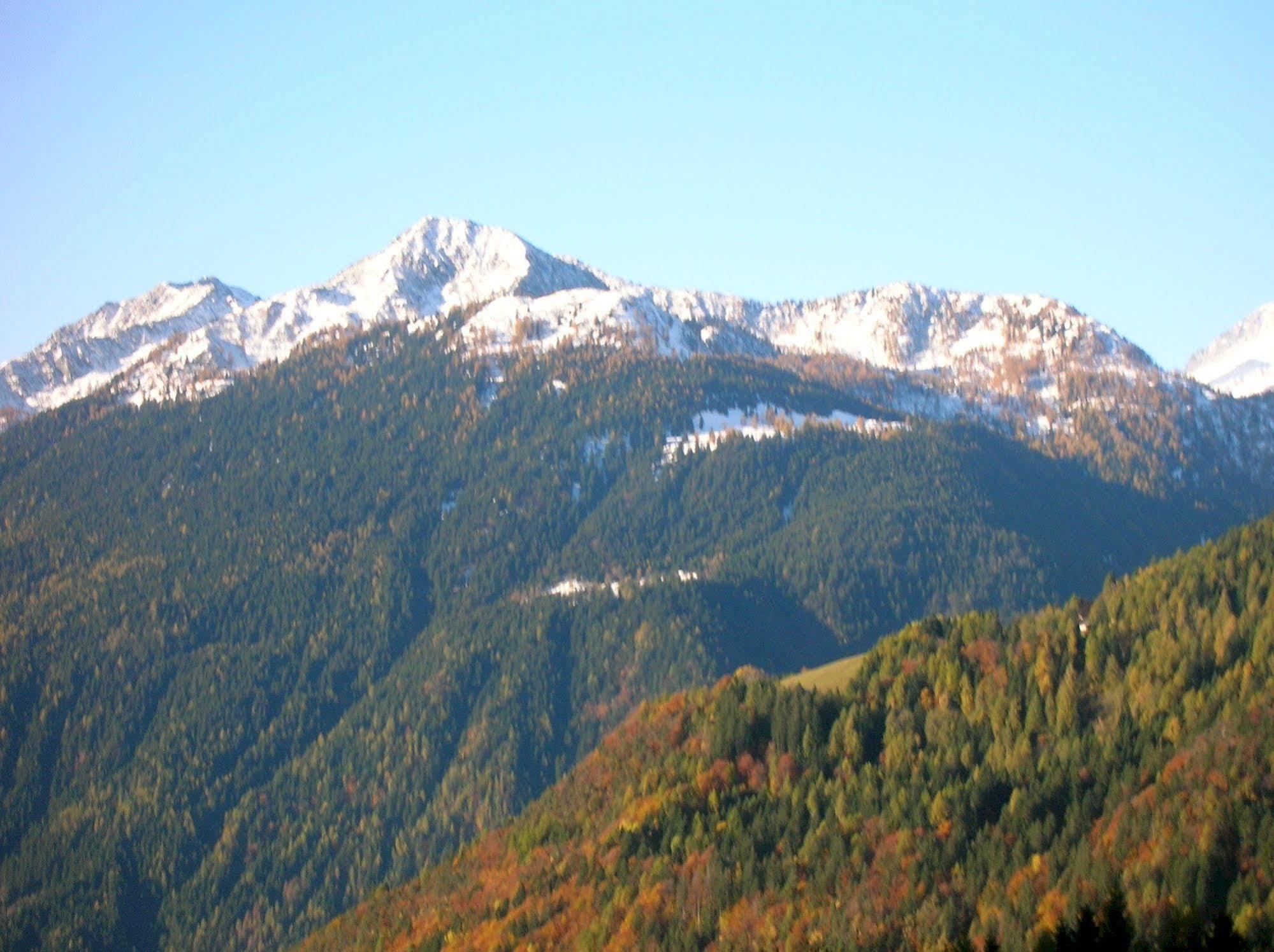 Hotel Villa Fosine Pinzolo Eksteriør billede